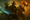 New World Season 9 gestartet